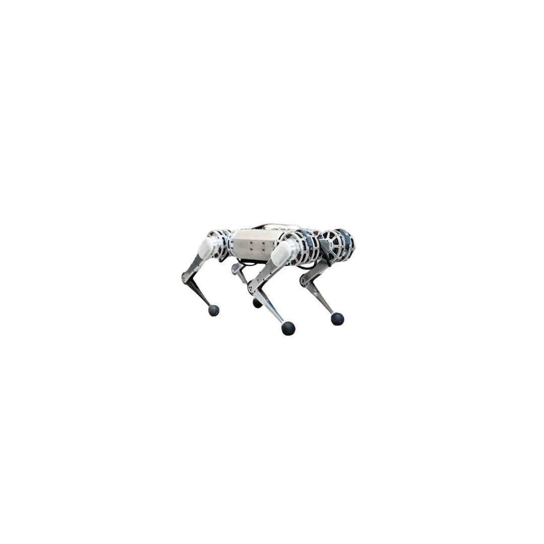 Quadruped Robot