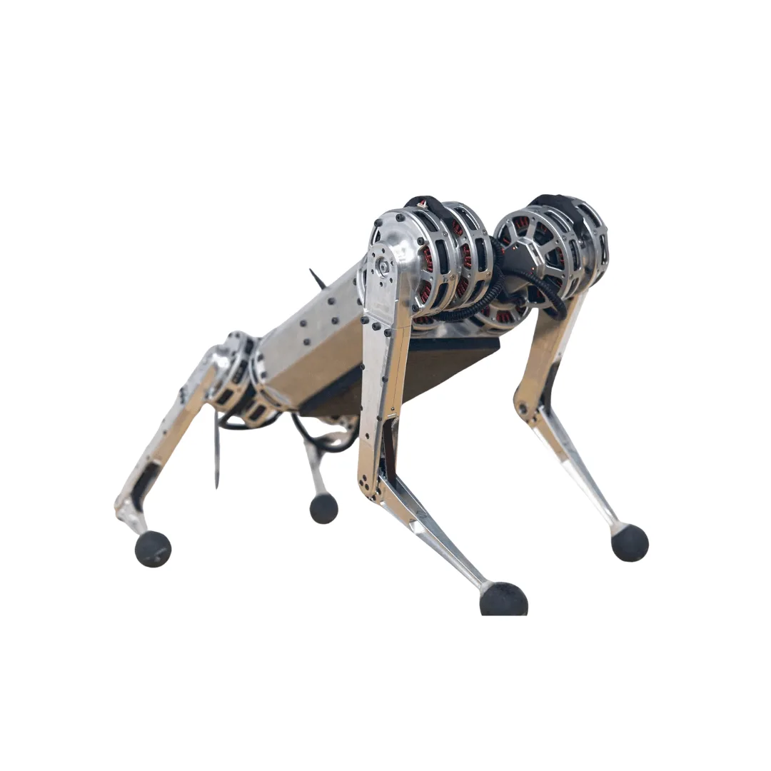 Quadruped Robot