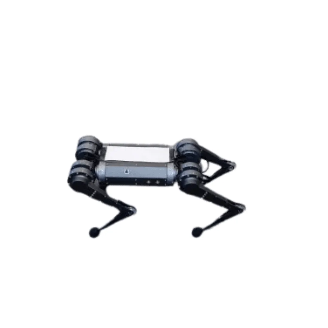 Quadruped Robot