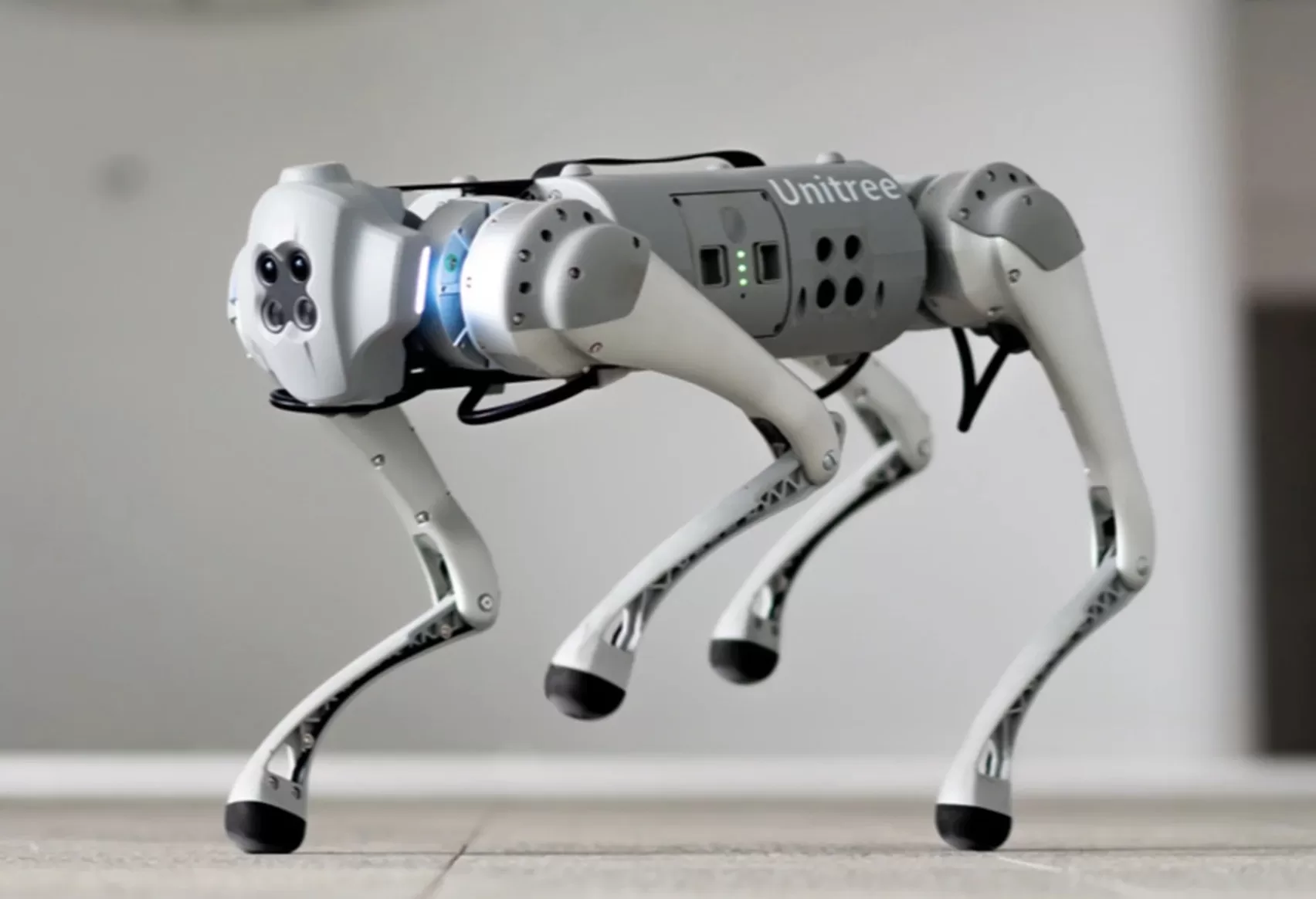 Robodog