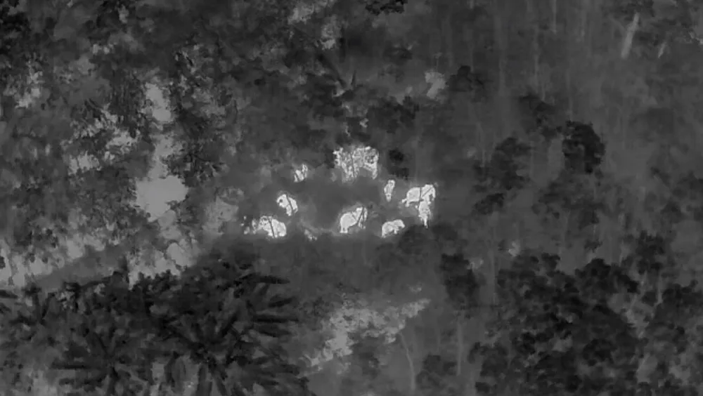 Drone Drone