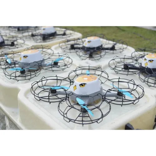 Drone Show