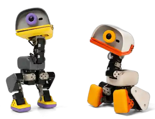 หุ่นยนต์เป็ด Microduck กับการสอน Reinforcement Learning: คุ้มไหมสำหรับสถาบัน